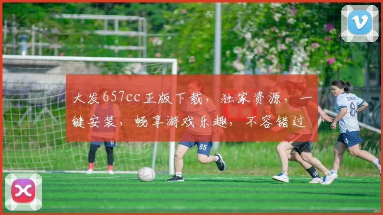 大发657cc正版下载，独家资源，一键安装，畅享游戏乐趣，不容错过，速来体验